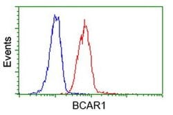 BCAR1 Monoclonal Antibody (OTI1A9), TrueMAB , OriGene 100 &mu;L; Unconjugated:Antibodies,