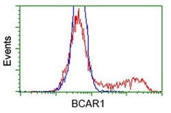 BCAR1 Monoclonal Antibody (OTI3A5), TrueMAB , OriGene 100 &mu;L; Unconjugated:Antibodies,