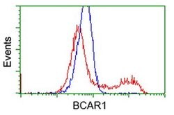 BCAR1 Monoclonal Antibody (OTI1B1), TrueMAB , OriGene 30 &mu;L; Unconjugated:Antibodies,