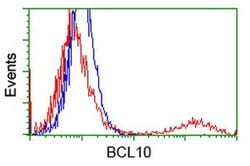 BCL10 Monoclonal Antibody (OTI6A4), TrueMAB , OriGene 100 &mu;L; Unconjugated:Antibodies,