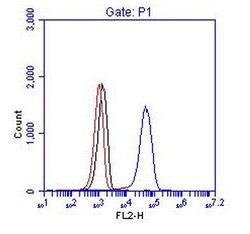 BCR Rabbit anti-Human, Polyclonal, Bethyl Laboratories 100 &mu;L; Unconjugated:Antibodies,