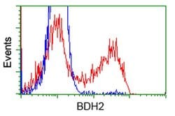 BDH2 Monoclonal Antibody (OTI2G1), TrueMAB , OriGene 30 &mu;L; Unconjugated:Antibodies,