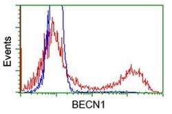 BECN1 Monoclonal Antibody (OTI2C5), TrueMAB , OriGene 100 &mu;L; Unconjugated:Antibodies,