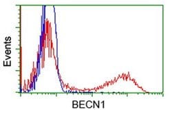 BECN1 Monoclonal Antibody (OTI3C3), TrueMAB , OriGene 100 &mu;L; Unconjugated:Antibodies,