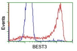 BEST3 Mouse anti-Human, Clone: OTI3B11, lyophilized, TrueMAB 100 &mu;g;