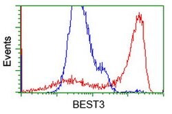 BEST3 Mouse anti-Human, Clone: OTI1B6, lyophilized, TrueMAB 100 &mu;g;