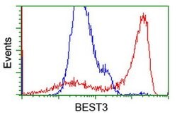BEST3 Monoclonal Antibody (OTI1B6), TrueMAB , OriGene 30 &mu;L; Unconjugated:Antibodies,