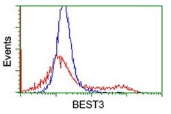 BEST3 Monoclonal Antibody (OTI1H5), TrueMAB , OriGene 100 &mu;L; Unconjugated:Antibodies,