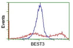 BEST3 Monoclonal Antibody (OTI3D7), TrueMAB , OriGene 30 &mu;L; Unconjugated:Antibodies,