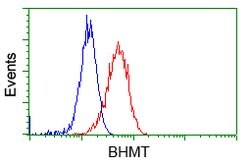 BHMT Mouse anti-Human, Clone: OTI10B3, lyophilized, TrueMAB 100 &mu;g;