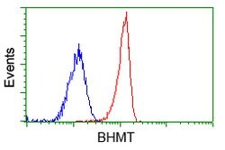 BHMT Mouse anti-Human, Clone: OTI10B3, lyophilized, TrueMAB 100 &mu;g;