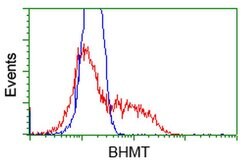 BHMT Monoclonal Antibody (OTI1E5), TrueMAB , OriGene 100 &mu;L; Unconjugated:Antibodies,