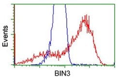 BIN3 Monoclonal Antibody (OTI7D6), TrueMAB , OriGene 100 &mu;L; Unconjugated:Antibodies,