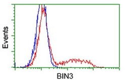 BIN3 Monoclonal Antibody (OTI2D7), TrueMAB , OriGene:Antibodies:Primary