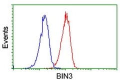 BIN3 Monoclonal Antibody (OTI4A6), TrueMAB , OriGene 100 &mu;L; Unconjugated:Antibodies,