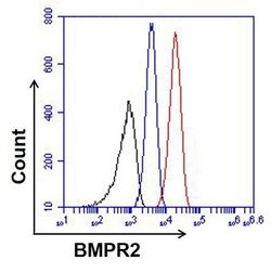 BMPR2 Monoclonal Antibody (3F6F8), Invitrogen 100 &mu;g; Unconjugated:Antibodies,