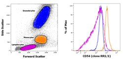 Invitrogen CD54 (ICAM-1) Monoclonal Antibody (RR1/1), Biotin, eBioscience