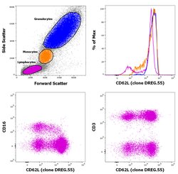 Invitrogen CD62L (L-Selectin) Monoclonal Antibody (DREG.55), FITC, eBioscience