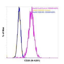Ly-6G/Ly-6C Monoclonal Antibody (RB6-8C5), Alexa Fluor 700, eBioscience