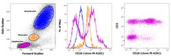 Invitrogen CD26 Monoclonal Antibody (M-A261), Biotin, eBioscience 100 Tests;