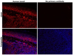 Invitrogen CD44std Monoclonal Antibody (SFF-304), eBioscience 100 &mu;g;