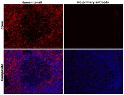 Invitrogen CD44std Monoclonal Antibody (SFF-304), eBioscience 100 &mu;g;