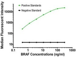BRAF Mouse anti-Human, Biotin, Clone: OTI3A7, liquid, TrueMAB 50 &mu;g;