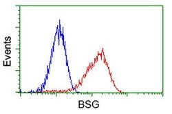 BSG Mouse anti-Human, Clone: OTI3H1, lyophilized, TrueMAB 100 &mu;g; Unconjugated:Antibodies,