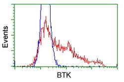 BTK Mouse anti-Human, Clone: OTI12H4, lyophilized, TrueMAB 100 &mu;g; Unconjugated:Antibodies,