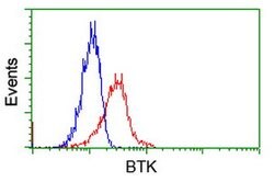 BTK Mouse anti-Human, Clone: OTI12H4, lyophilized, TrueMAB 100 &mu;g; Unconjugated:Antibodies,