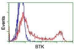 BTK Mouse anti-Human, Clone: OTI3E9, lyophilized, TrueMAB 100 &mu;g; Unconjugated:Antibodies,