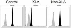 BTK Mouse anti-Human, Clone: OTI10E10, liquid, TrueMAB 100 &mu;L; Unconjugated:Antibodies,
