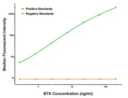 BTK Mouse anti-Human, Clone: OTI10E10, liquid, TrueMAB 100 &mu;g; Unconjugated:Antibodies,