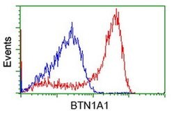 BTN1A1 Mouse anti-Human, Clone: OTI3B12, liquid, TrueMAB 100 &mu;L; Unconjugated:Antibodies,