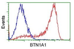 BTN1A1 Monoclonal Antibody (OTI4H2), TrueMAB , OriGene:Antibodies:Primary