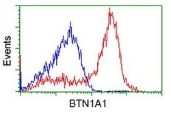 BTN1A1 Mouse anti-Canine, Human, Clone: OTI7B5, lyophilized, TrueMAB 100