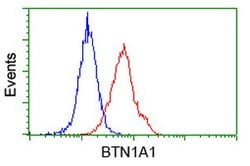 BTN1A1 Mouse anti-Canine, Human, Clone: OTI7B5, lyophilized, TrueMAB 100