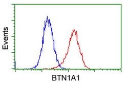 BTN1A1 Mouse anti-Canine, Human, Clone: OTI7B5, lyophilized, TrueMAB 100
