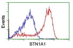 BTN1A1 Monoclonal Antibody (OTI4H10), TrueMAB , OriGene 100 &mu;L; Unconjugated:Antibodies,