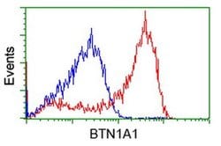 BTN1A1 Monoclonal Antibody (OTI1G9), TrueMAB , OriGene 100 &mu;L; Unconjugated:Antibodies,