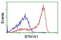 BTN1A1 Mouse anti-Canine, Human, Rat, Clone: OTI5E6, lyophilized, TrueMAB
