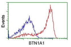 BTN1A1 Monoclonal Antibody (OTI5E6), TrueMAB , OriGene 100 &mu;L; Unconjugated:Antibodies,