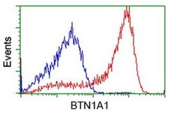 BTN1A1 Monoclonal Antibody (OTI1G2), TrueMAB , OriGene 100 &mu;L; Unconjugated:Antibodies,