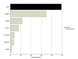 EGFR Monoclonal Antibody (111.6), Invitrogen 500 &mu;L | Buy Online | Thermo Scientific | Fisher Scientific