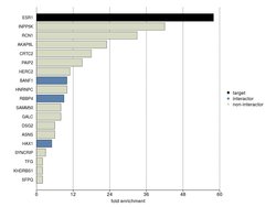 Estrogen Receptor alpha Monoclonal Antibody (6F11), Invitrogen 500 &mu;L;