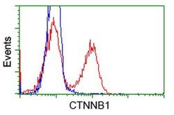 Beta-catenin Mouse anti-Canine, Human, Clone: OTI1G1, lyophilized, TrueMAB