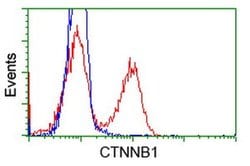 Beta-catenin Monoclonal Antibody (OTI1G1), TrueMAB , OriGene 100 &mu;L;