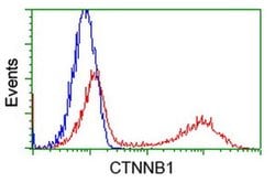Beta-catenin Monoclonal Antibody (OTI2F6), TrueMAB , OriGene 100 &mu;L;