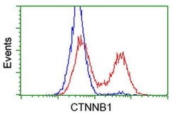 Beta-catenin Monoclonal Antibody (OTI5D2), TrueMAB , OriGene:Antibodies:Primary