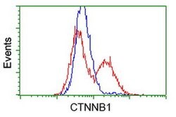 Beta-catenin Monoclonal Antibody (OTI1E10), TrueMAB , OriGene 100 &mu;L;